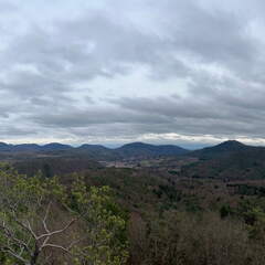 24-03-01 13-36-59 8877